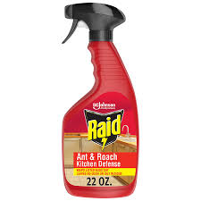 Raid Flying Insect Killer Outdoor Fresh Scent Aerosol - 18Oz : Target