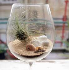 Verwöhnen sie ihre kreativer kerzenhalter, selbst gestaltet mit muscheln und sand. Weinglas Deko Tillandsien Sand Muscheln Terrarium Pflanzen Terrarium Ideen Terrarium