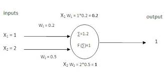 Neural Network Codeproject Networking Knowledge Human Brain