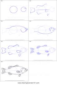 Draw parallel guides to align the eyes and the upper and lower edges of the lips. How To Draw A Largemouth Bass Printable Step By Step Drawing Sheet Drawingtutorials101 Com