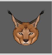 What kind of animal is the african caracal? Caracal Lynx Vector Images 89