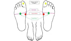 How To Relieve Stress And Anxiety With Foot Reflexology