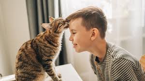 ‪Why do cats lick you? An expert explains. | Popular Science‬‏