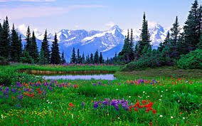 Resultado de imagen de paisajes primaverales