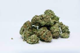 Indigenous Communities and Weed in Canada: Cultural Perspectives