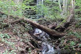 catskill scenic trail new york trails traillink catskill scenic trail new york trails