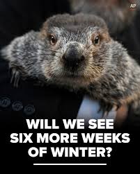 GROUNDHOG DAY | Did Punxsutawney Phil see his shadow? 👀 Here's a look at  the woodchuck's annual weather forecast ->  https://www.wnep.com/article/news/nation-world/groundhog-day-2026-punxsutawney-phil-shadow-longer-winter-early-spring/507-11945a22-ed64  ...