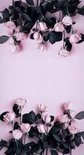 We did not find results for: Trendy Flowers Photography Wallpaper Phone Wallpapers Spring Ideas Flowers Photography Wallpaper Flower Background Iphone Flower Background Wallpaper