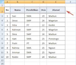 Cara Mengelompokkan Data Filter Pada Ms Excel 2007