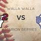 Walla Walla Sweets vs. Marion Berries