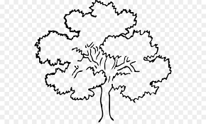 Tree Png With Outline Free Tree With Outline Png Transparent Images 11838 Pngio Black water lily flower illustration, nelumbo nucifera white black, lotus outline, leaf, monochrome, symmetry png. outline png transparent images 11838