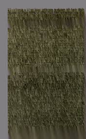 Image result for Bivinia jalbertii