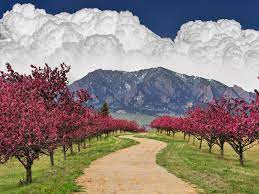 Paisajes Espectaculares Muchas Fotos Landscape Photography Beautiful Landscapes Beautiful Places