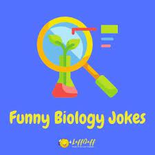 We did not find results for: 70 Funny Biology Jokes Puns And One Liners Laffgaff