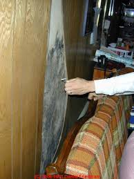 We would like some of the walls to have wood paneling. Moldy Wall Paneling How To Find Hidden Mold Behind Paneling In Buildings Looking For Hidden Mold A How To Photo And Text Primer On Finding Mold In Buildings