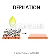 Unwanted hair often happens if we produce higher depilatories are a bit harsh and are consistent out of several different chemicals which remove. Hair Depilation Hair Removal Infographics Vector Illustration On Isolated Background Hair Depilation Hair Removal Canstock