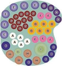 Year Round Flower Design Garden Design Layout Garden Layout Flower Garden Design