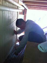 Expert recommended top 3 pest control companies in sacramento, california. Pest Control Sacramento Ca Parish