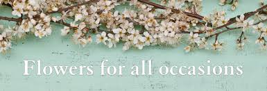 Shop floral supplies 125+ varieties, colors white to purple for your pinterest board True Colors Florist Hobart S Longest Established Florist Hobart S Longest Established Florist