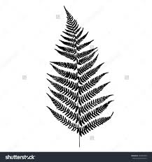 Bracken Fern Tattoo Google Search Fern Tattoo Silhouette Tattoos Ferns