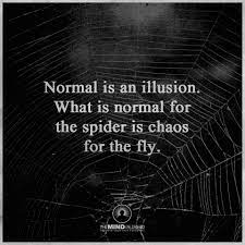 Illusion is an anodyne, bred by the there are two kinds of illusion, the negative illusion which merely fails to be a reality, and the illusion which exists as a potentiality or model in the mind. Normal Is An Illusion What Is Normal For The Spider Is Chaos For The Fly Spirit Science Quotes