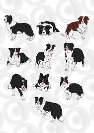 Black And White Collie Dog Clipart Digitizer S Heaven Border Collie Art Dog Drawing Collie Dog
