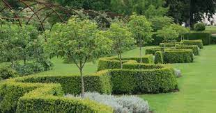 visite du jardin du plessis sasnieres jardins jardin francais jardin de cure