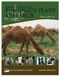 In the spring xml sample below we filter based on a header value Pdf Diarrhea Associated With Ingestion Of Zygophyllum Coccineum Tartir In Camels In The Al Najaf Desert In Iraq