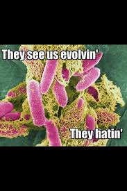Evolution Remedies For Kidney Infection Natural Remedies Urinary Tract