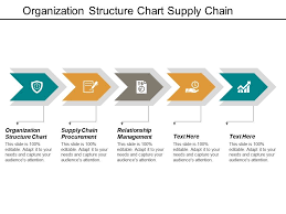 organization structure chart supply chain procurement