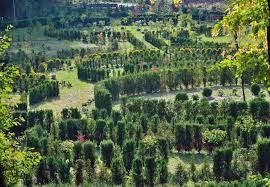 Konunun aslında ne kadar ciddi bir boyutta olduğunu, bir şekilde basına. Arboretum Bramy Morawskiej Hotel Gracja