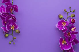 Violetov Kopie Na Fona Na Prostranstvoto Free Photo Freepik Freephoto Background Flower Floral Flowers Flower Frame Orchid Flower Violet Flower
