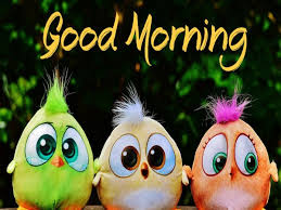 good morning photo के लिए इमेज परिणाम