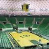 The team plays its home games in ferrell center and is currently coached by scott drew. Https Encrypted Tbn0 Gstatic Com Images Q Tbn And9gctpoogknhsk 6nutyc93fdiit Ynpi Tjr2fsb7gxnbjtfbhjoi Usqp Cau
