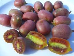 10 Petits Fruits Originaux Et Savoureux Qui Vous Feront Craquer Petit Fruit Fruits Jardin Fruitier