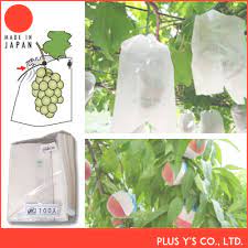 Rabu, 19 juni 2019 tambah komentar edit. Penjualan Terbaik Kantong Anggur Kertas Penolak Air Untuk Perlindungan Dibuat Di Jepang Buy Tas Anggur Product On Alibaba Com