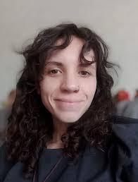 Timur Mindich and corruption in defense. Fake tenders and pressure