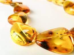 Pin On Amber With Inclussions Insects