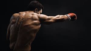Maybe you would like to learn more about one of these? 5573438 1920x1080 Muhammad Ali Wallpaper For Computer Cool Wallpapers For Me