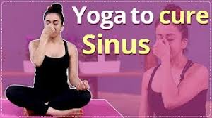 Check spelling or type a new query. Yoga To Cure Sinus Cold How To Cure Sinus How To Treat Cold Simple Yoga Lessons Youtube