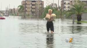 Image result for no rev12 Puerto Rico Great Eagle rescue