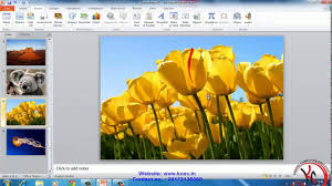 Ms Powerpoint Tutorial In Hindi Clip Art Photo Album Shapes Smart Art Chart Ms Power Point Youtube
