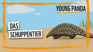 Still on the roll in the quest for love, pangolin is captivated by a melody coming from the depths of the jungle. Die Skurrile Uberlebensstrategie Des Schuppentiers Youtube