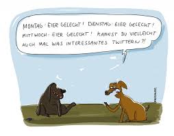 Csu und freie wähler wieder uneinig bei ladenöffnungen an sonntagen. Lustige Bilder Videos Witze Achtung Kommentare Werden Geloscht Seite 1160