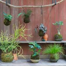 They offer beautiful greenery and the convenience of fresh herbs year round. 12 Easy Diy Garden Ideas Garden Design
