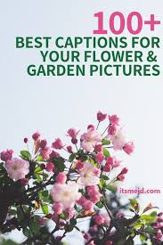 Explore 234 gardening quotes by authors including marcus tullius cicero, william blake, and george eliot at brainyquote. 100 Perfect Flower And Garden Captions To Make You Smile
