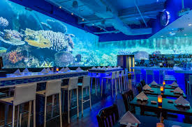 Blu Sushi The Art Of Sushi And Outrageous Cocktails