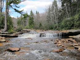 This site is set up to correspond with the regions set up by the west virginia department of commerce. Blackbird Knob Hike
