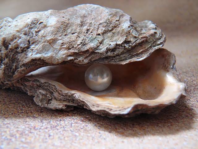 Here's Why Pearls No Longer Cost a Fortune