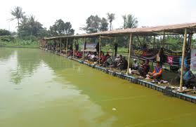 Cobla Tiap Minggu Lomba Pelampungan Mas Hadiah Motor Seken Kabar Mancing